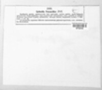 Labrella potentillae image